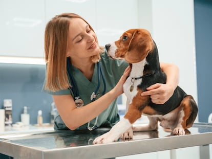 Turn your love for animals into a career. Veterinary training for a bright future!